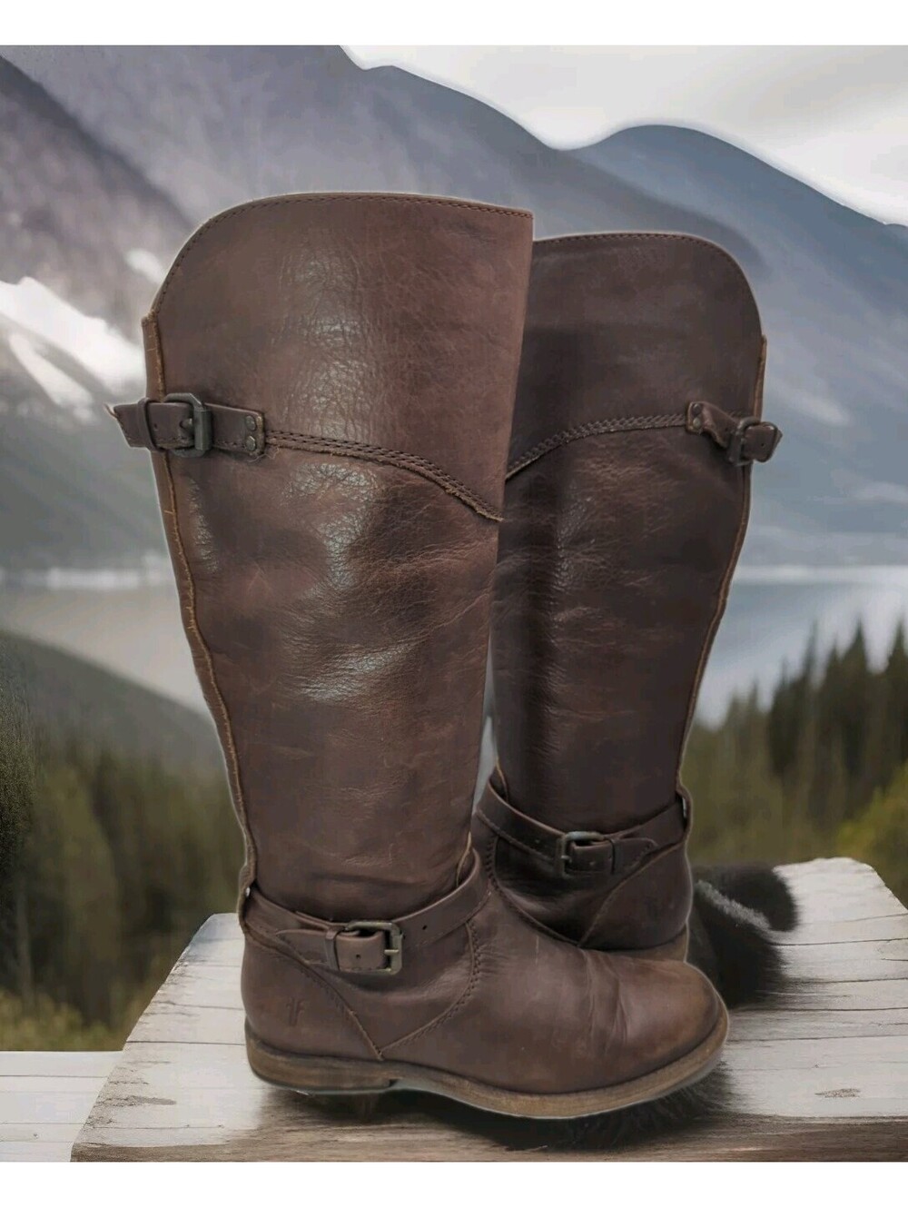Frye Phillip Tall Equestrian Riding Boots Buckle Strap Harness Cognac Women 6.5B